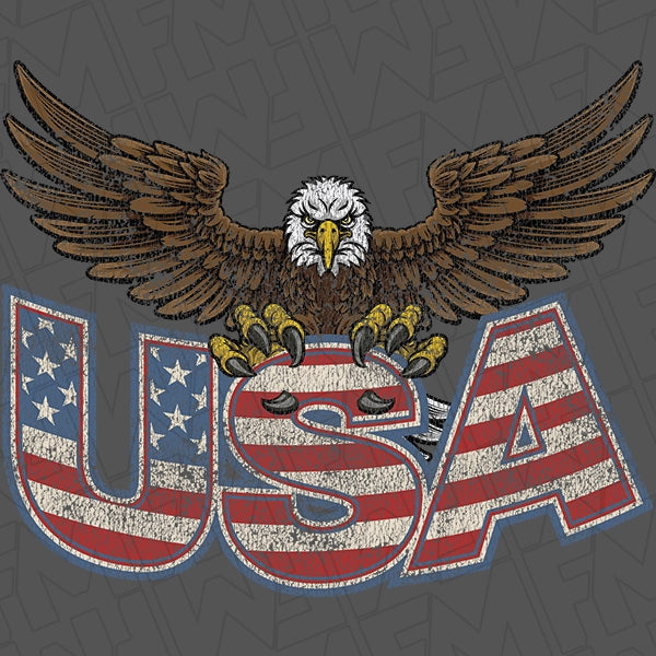 USA Eagle Biker Patriotic DTF Transfer applied to a shirt